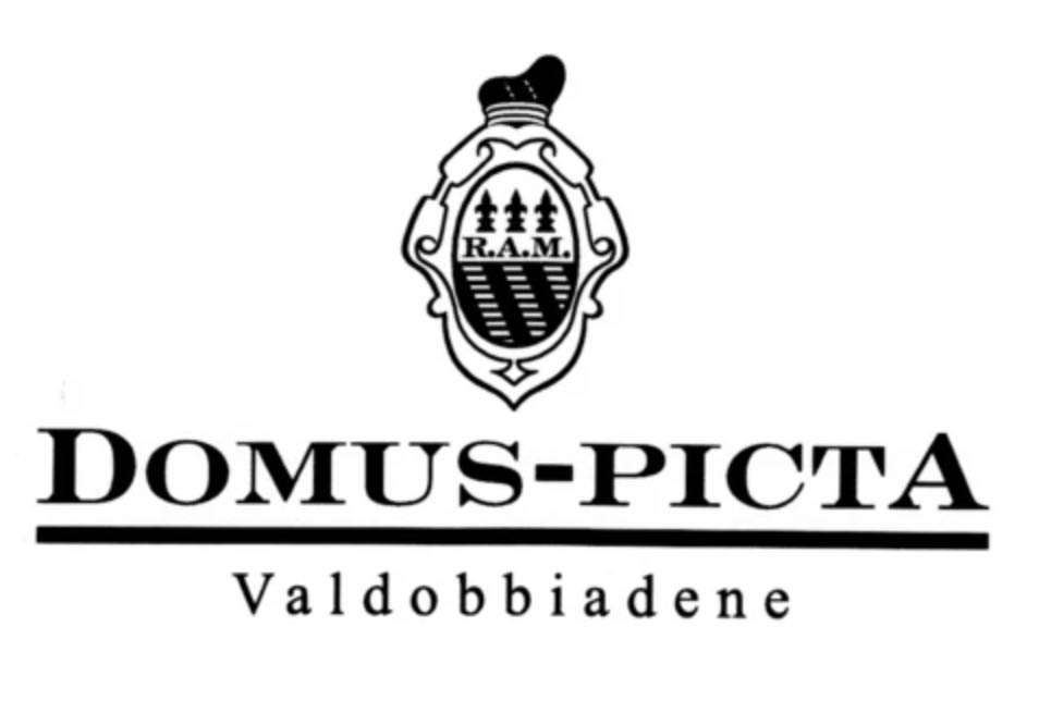 domus-picta-logo